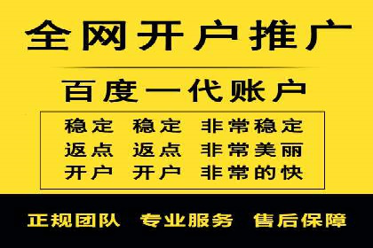 百度推广费用的投入与市场占有率提升的关联案例